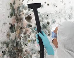 Asbestos and Lead Testing During Mold Inspection in Clinton, PA